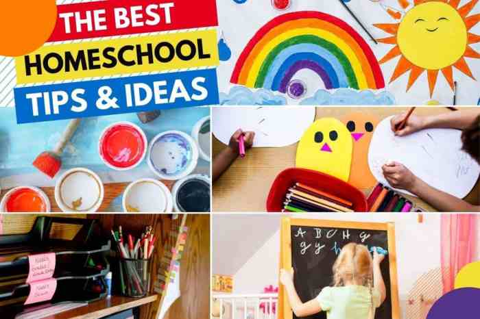 Resources forced homeschooling into